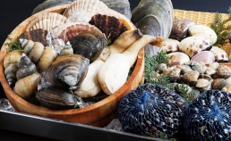 オルニチン 効果