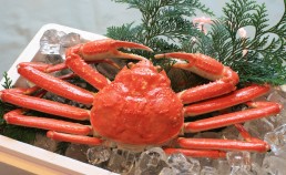 アスタキサンチン　効果