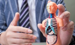 カルシウム　吸収